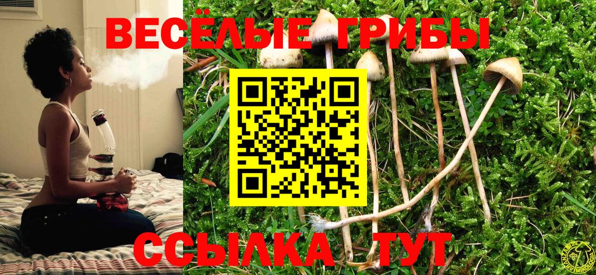 Псилоцибиновые грибы ЛСД Екатеринбург